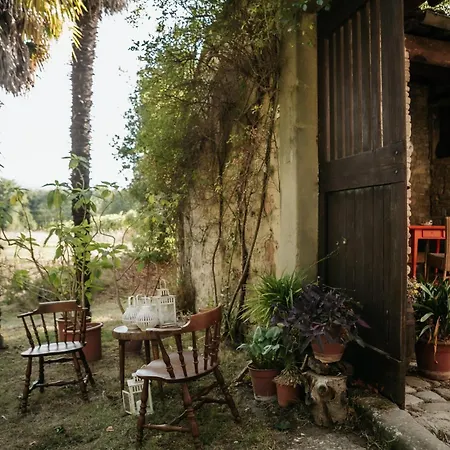 Apartment Podere Del Noce